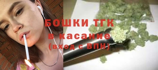 крисы Армянск