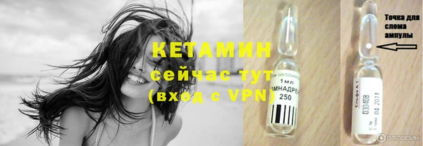 крисы Армянск