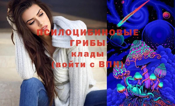 круглые Арсеньев